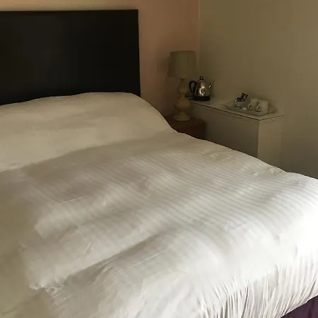Winston Manor 3*